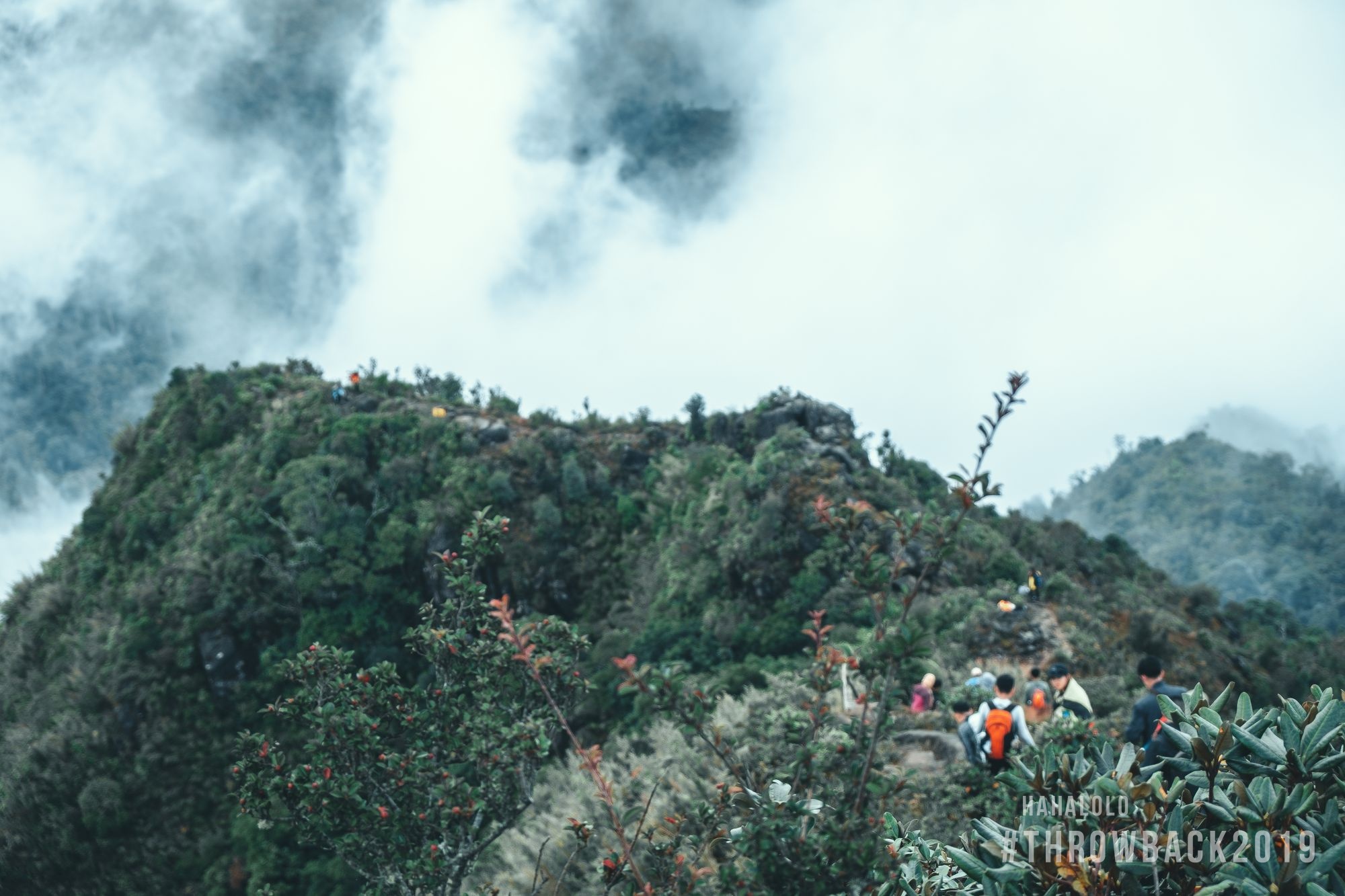 cuoc thi anh throw back 2019 anh 9