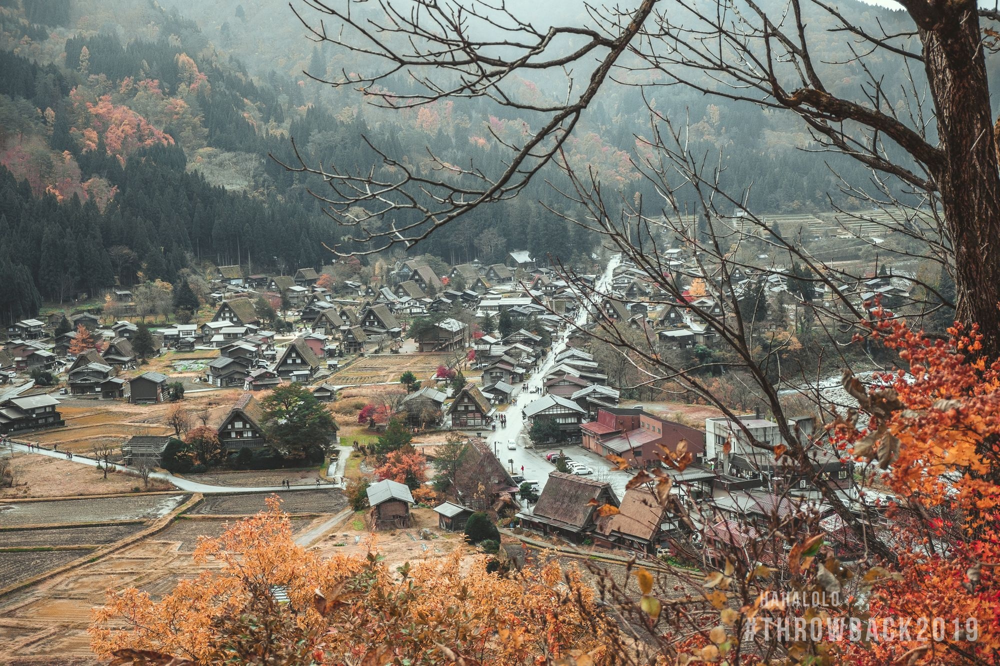 cuoc thi anh throw back 2019 anh 13