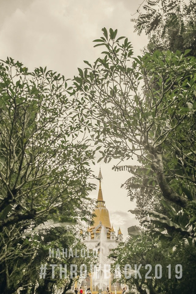 cuoc thi anh throw back 2019 anh 10