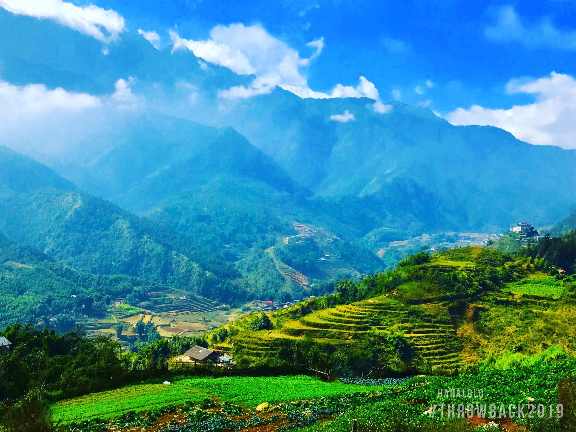 cuoc thi anh throw back 2019 anh 7