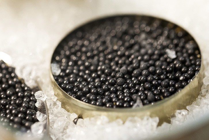 An thu trung ca muoi chi danh cho gioi nha giau hinh anh