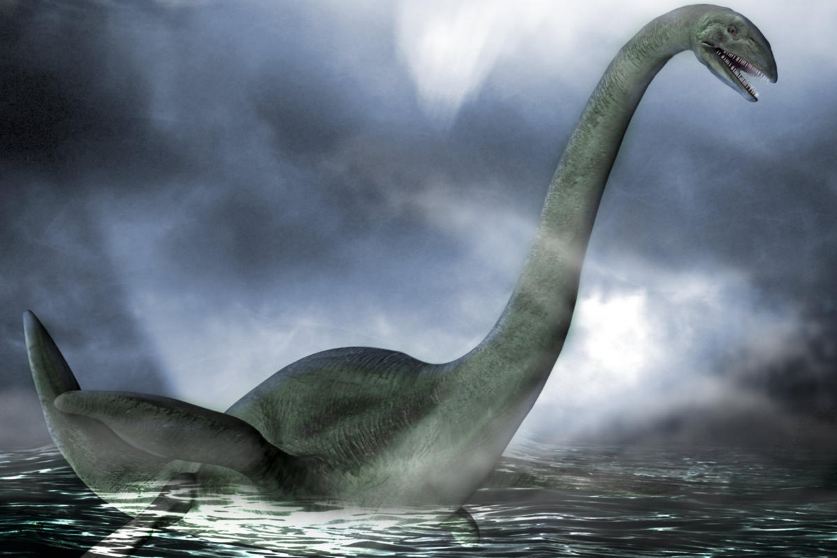 Bi an chua co loi giai ve quai vat ho Loch Ness hinh anh