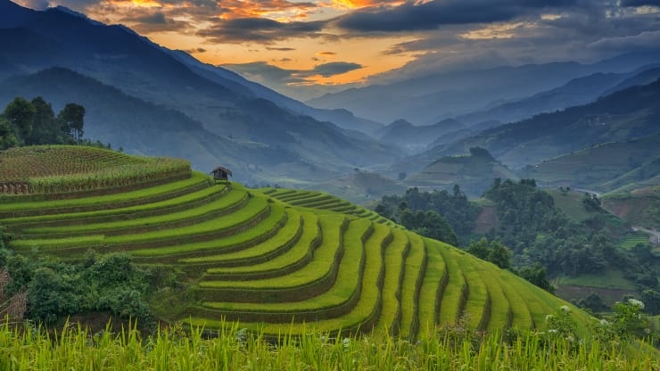 mu cang chai anh 2