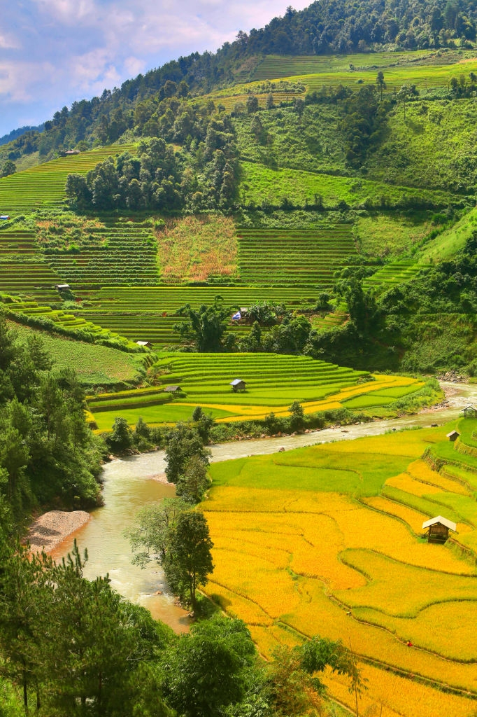 mu cang chai anh 6