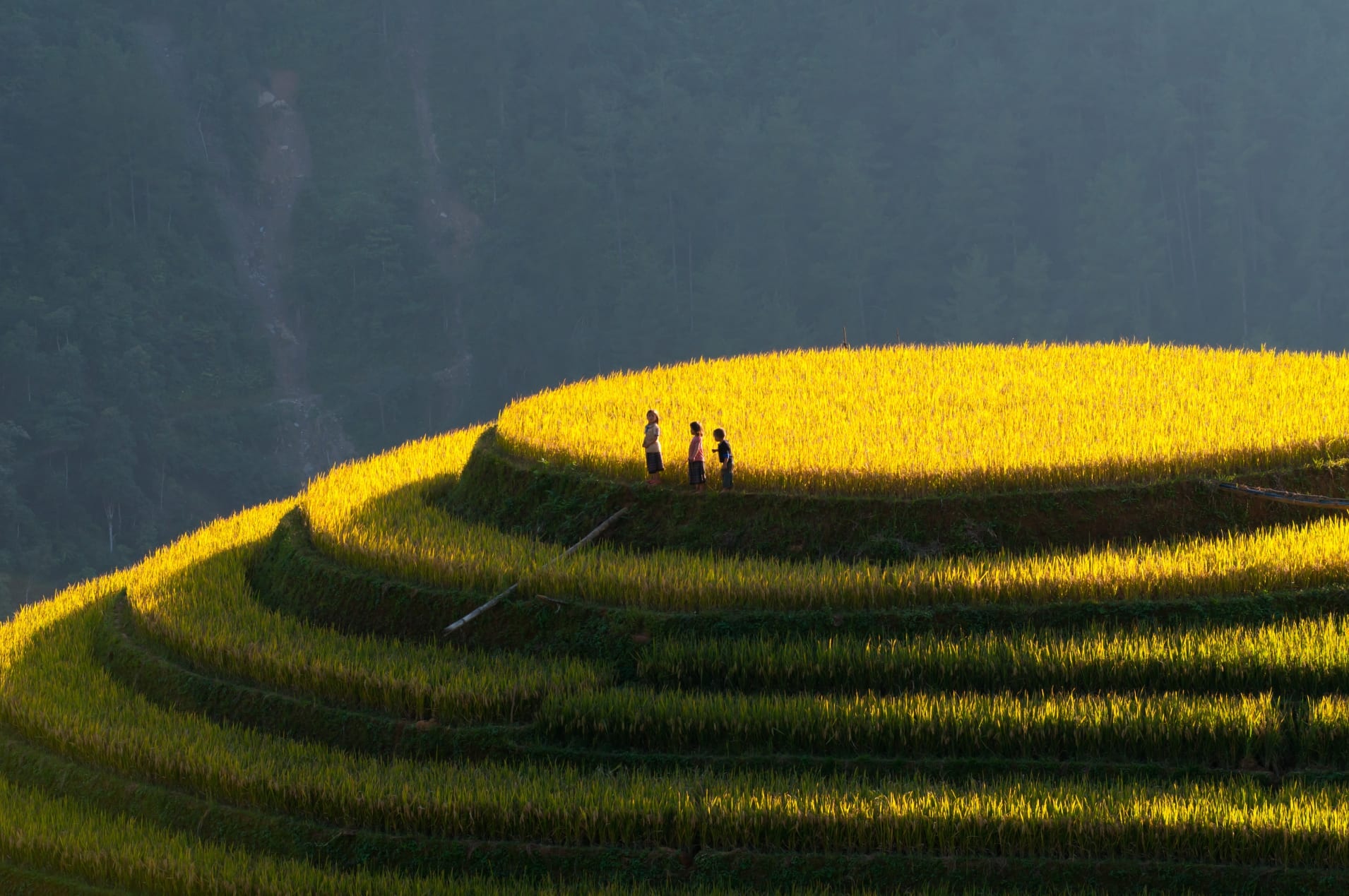 mu cang chai anh 5