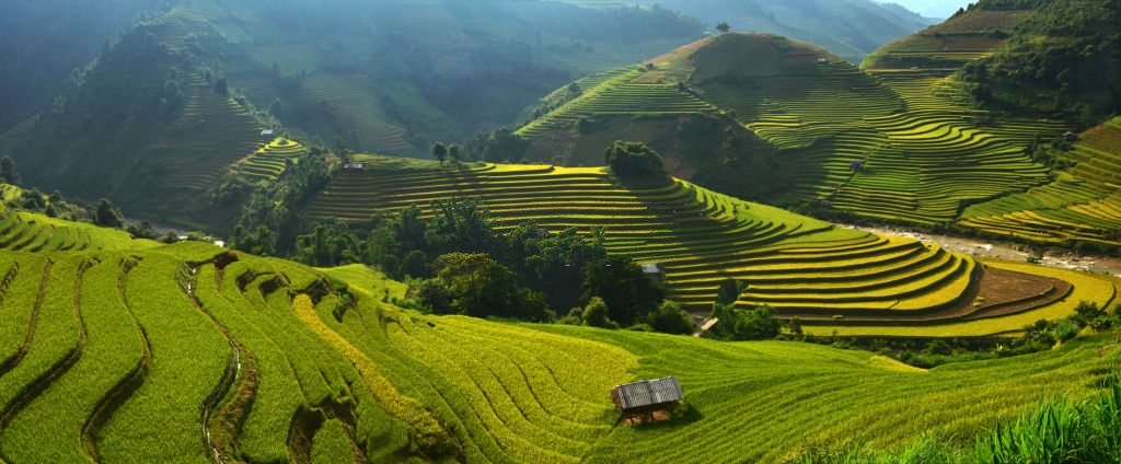mu cang chai anh 17