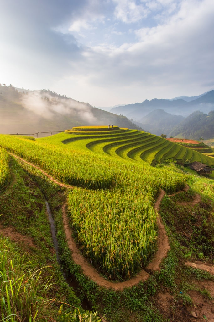 mu cang chai anh 18