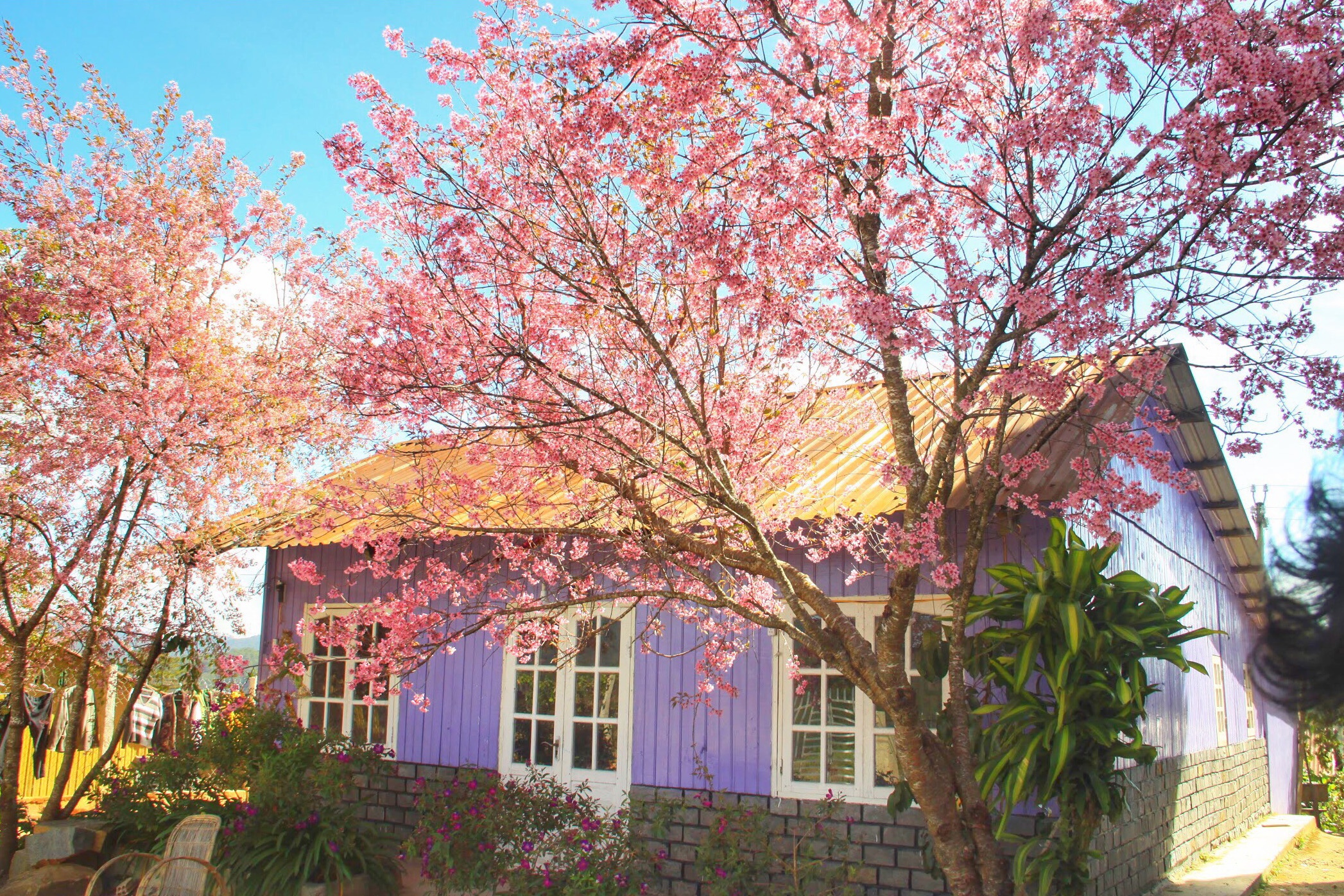 du lich da lat anh 9