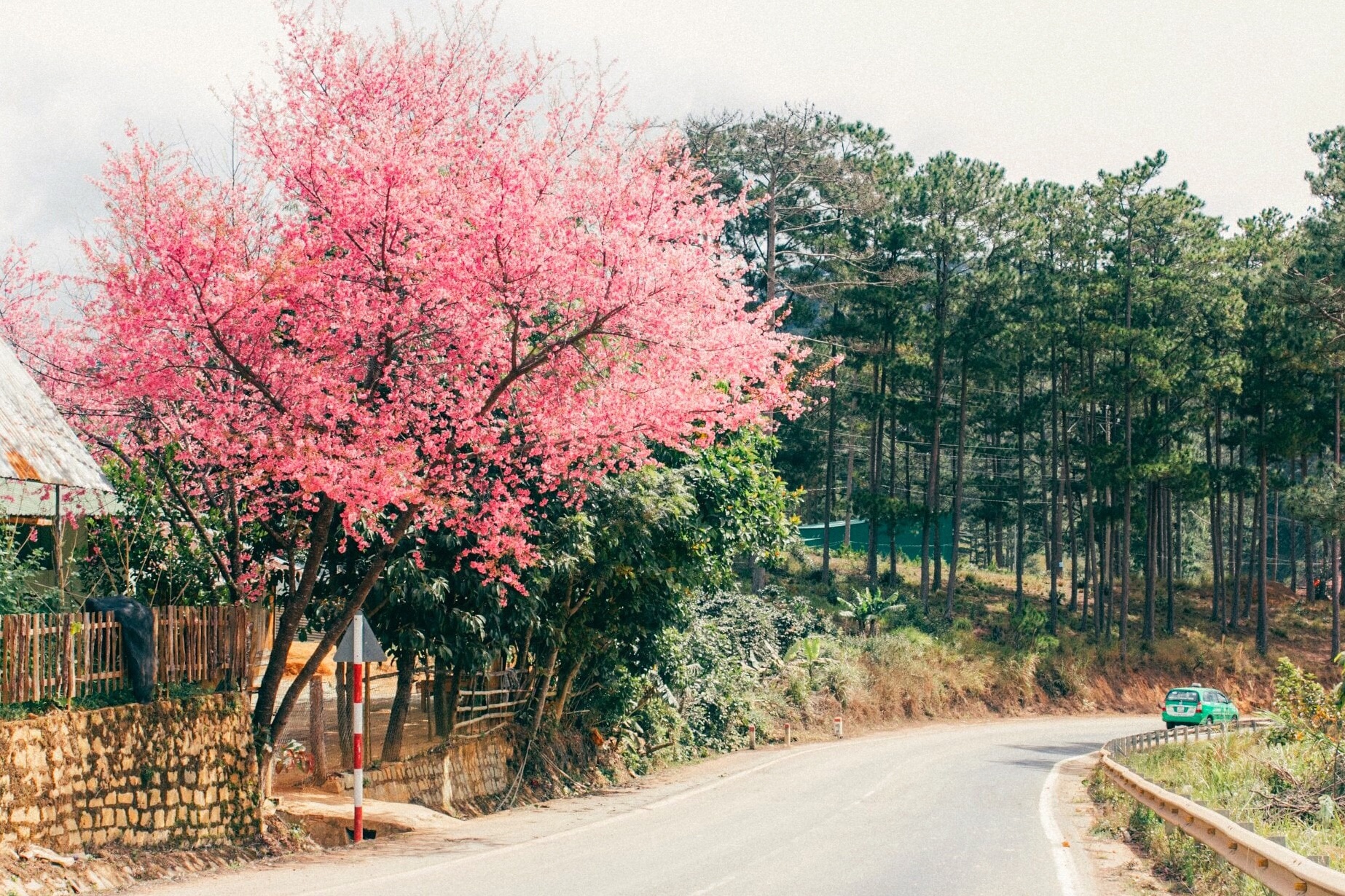 du lich da lat anh 3