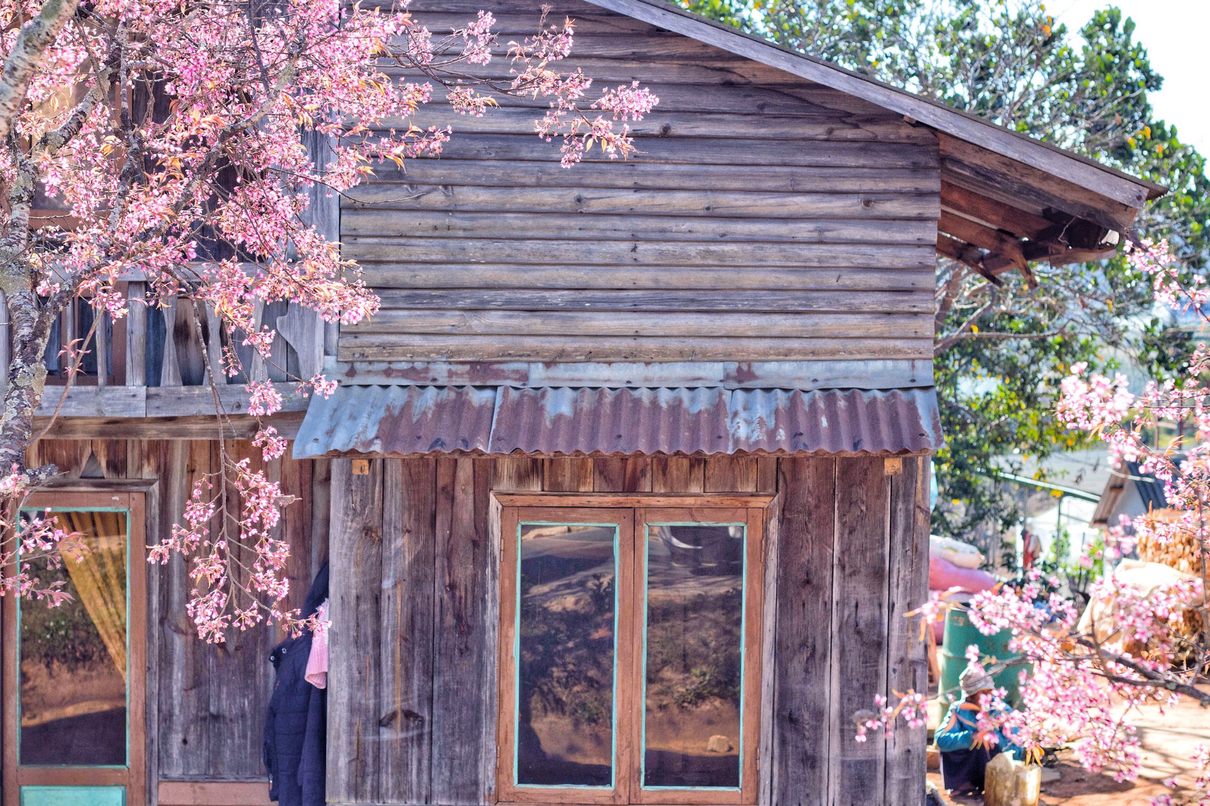 du lich da lat anh 5