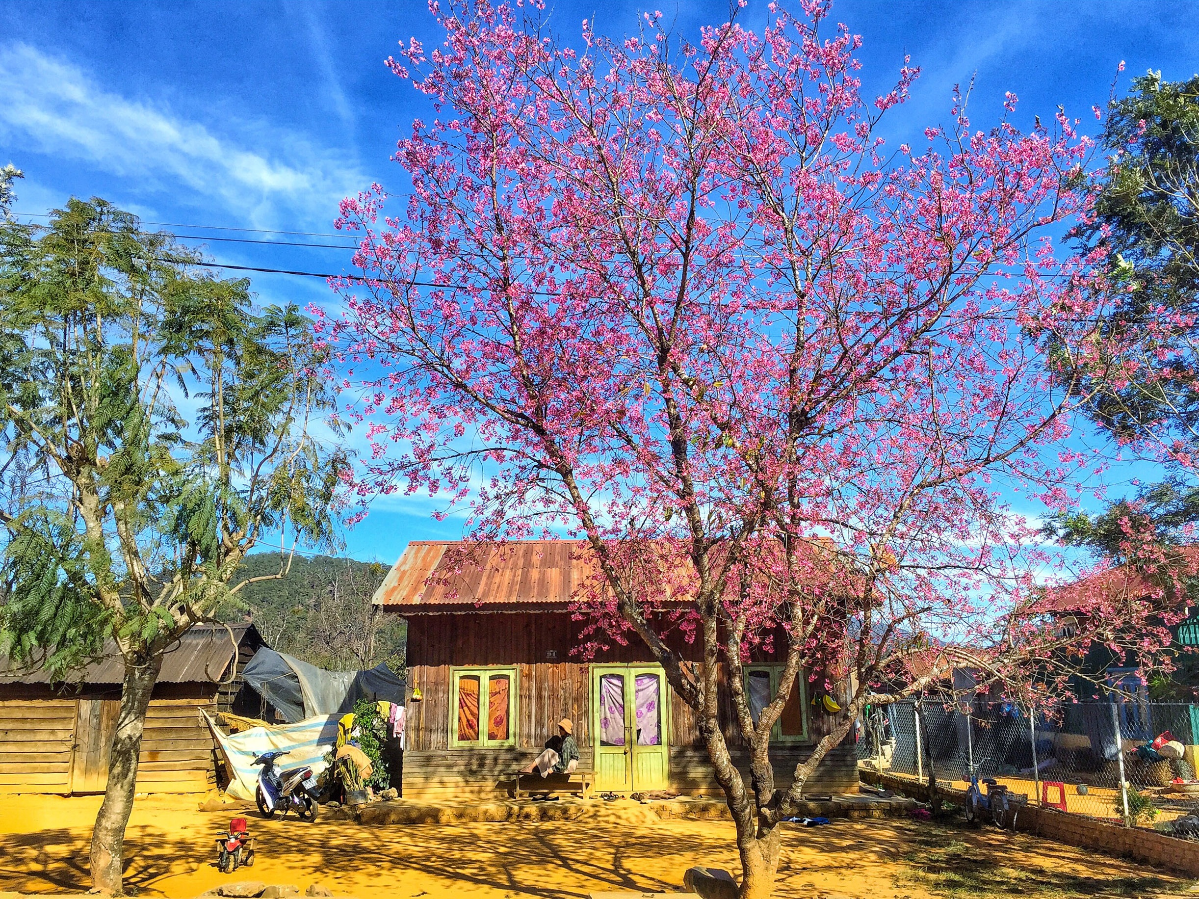 du lich da lat anh 12