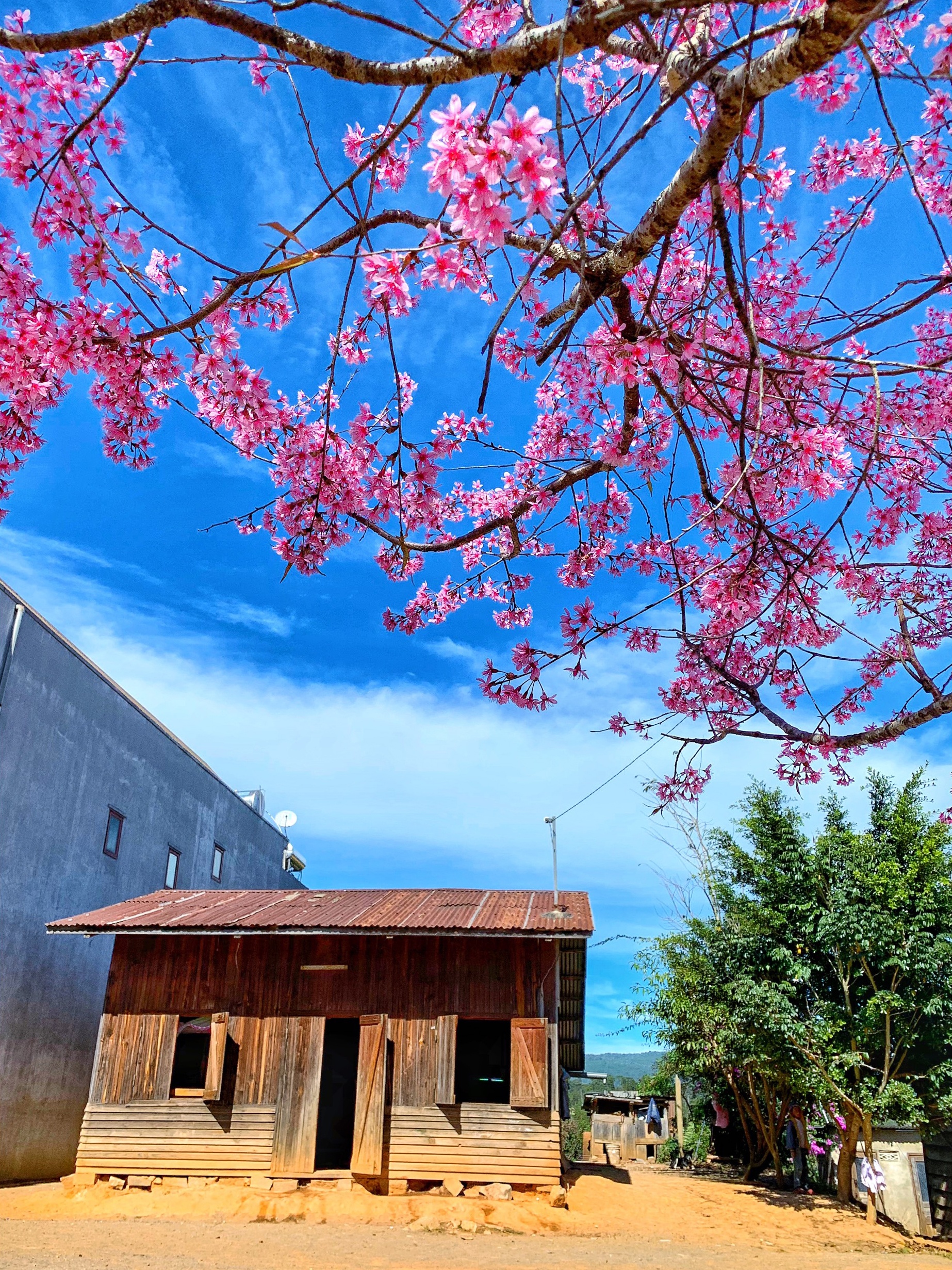 du lich da lat anh 16