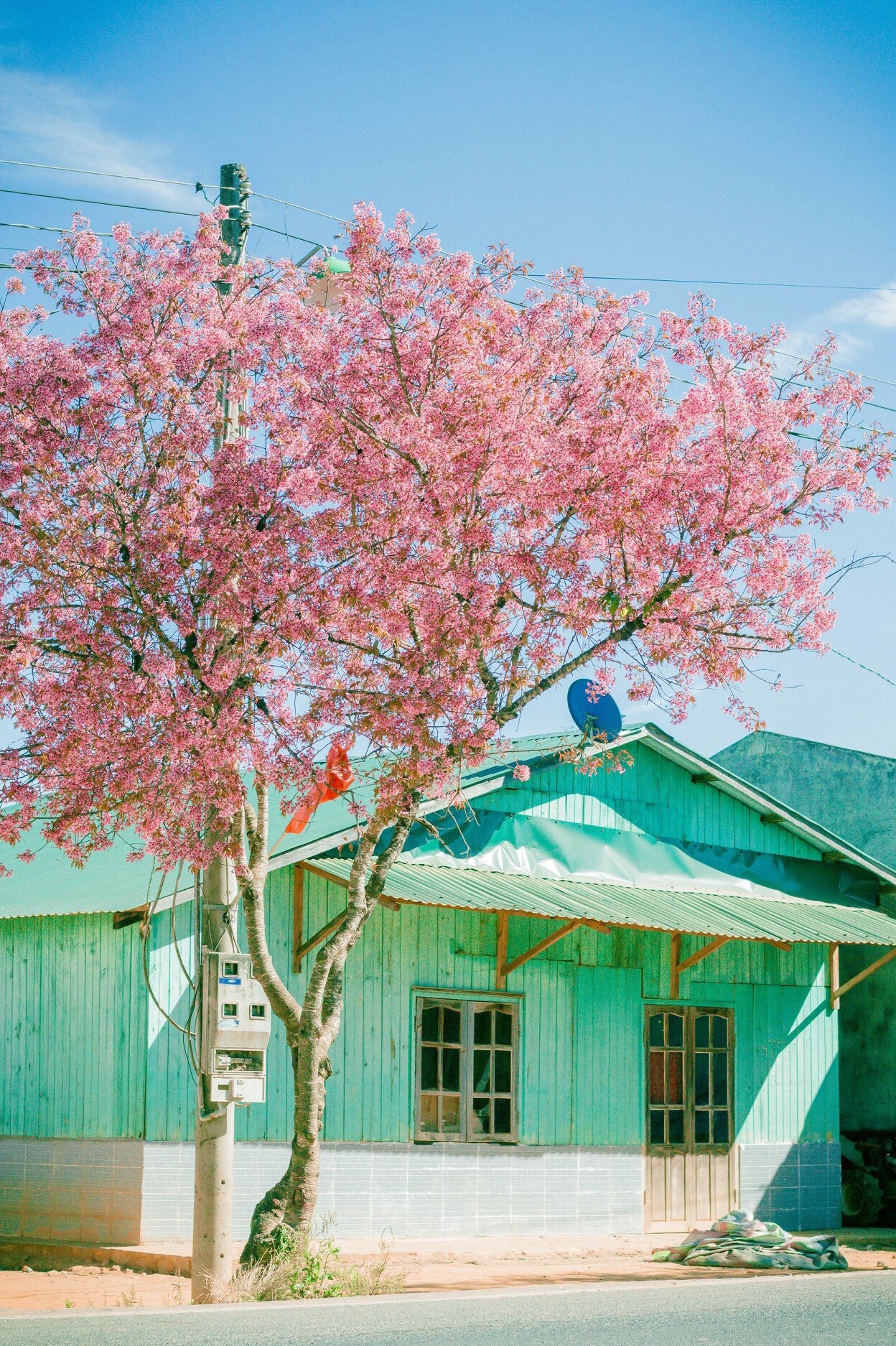 du lich da lat anh 17