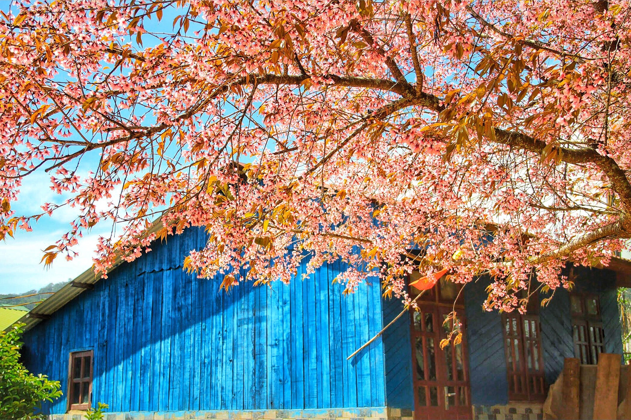 du lich da lat anh 21