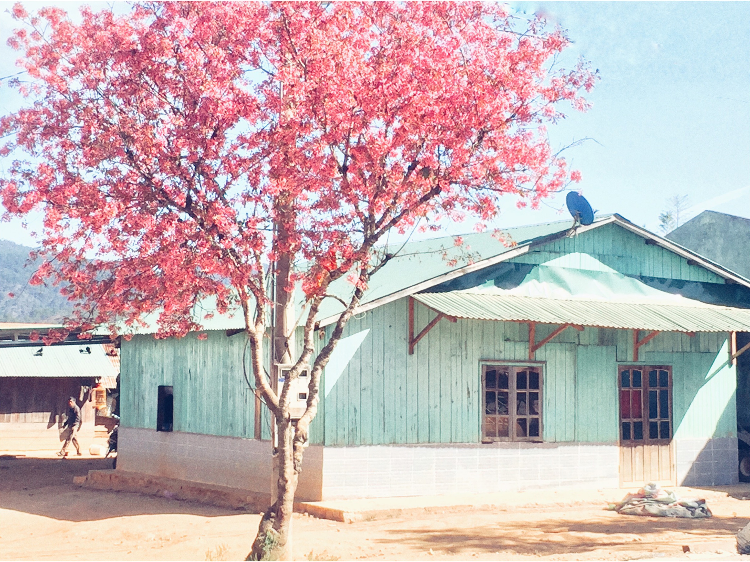 du lich da lat anh 19