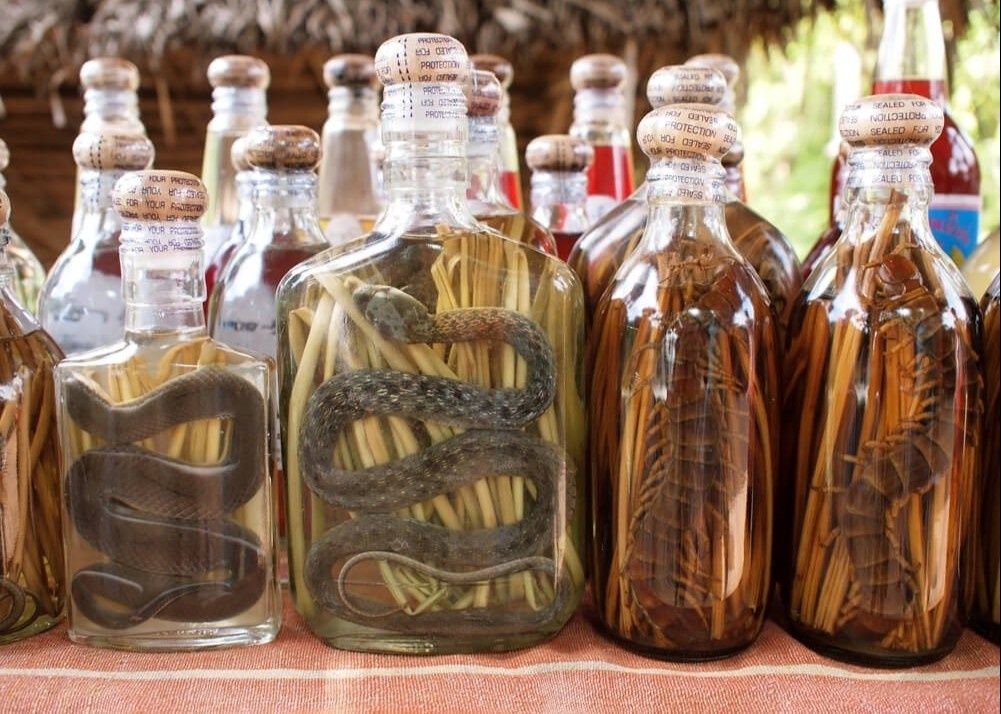 Lang chuyen ngam ruou ran, ret o Lao hinh anh