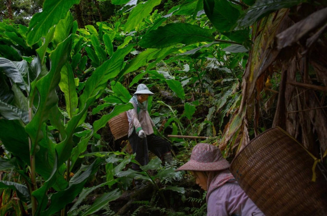 du lịch sa pa ảnh 2 du lich sa pa anh 2
