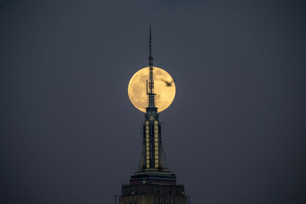 Chiem nguong sieu trang dau tien cua nam 2020 tu nuoc My hinh anh