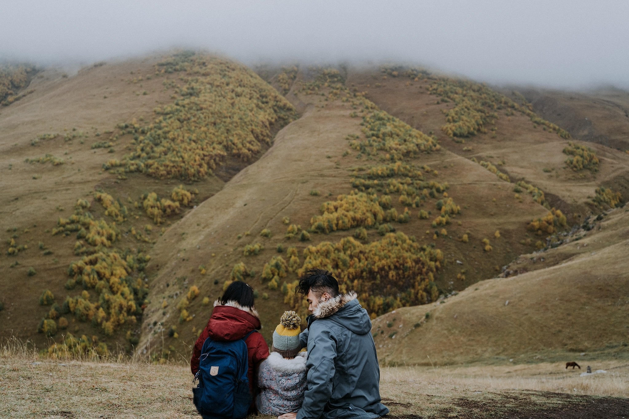 Du lich gia dinh anh 1