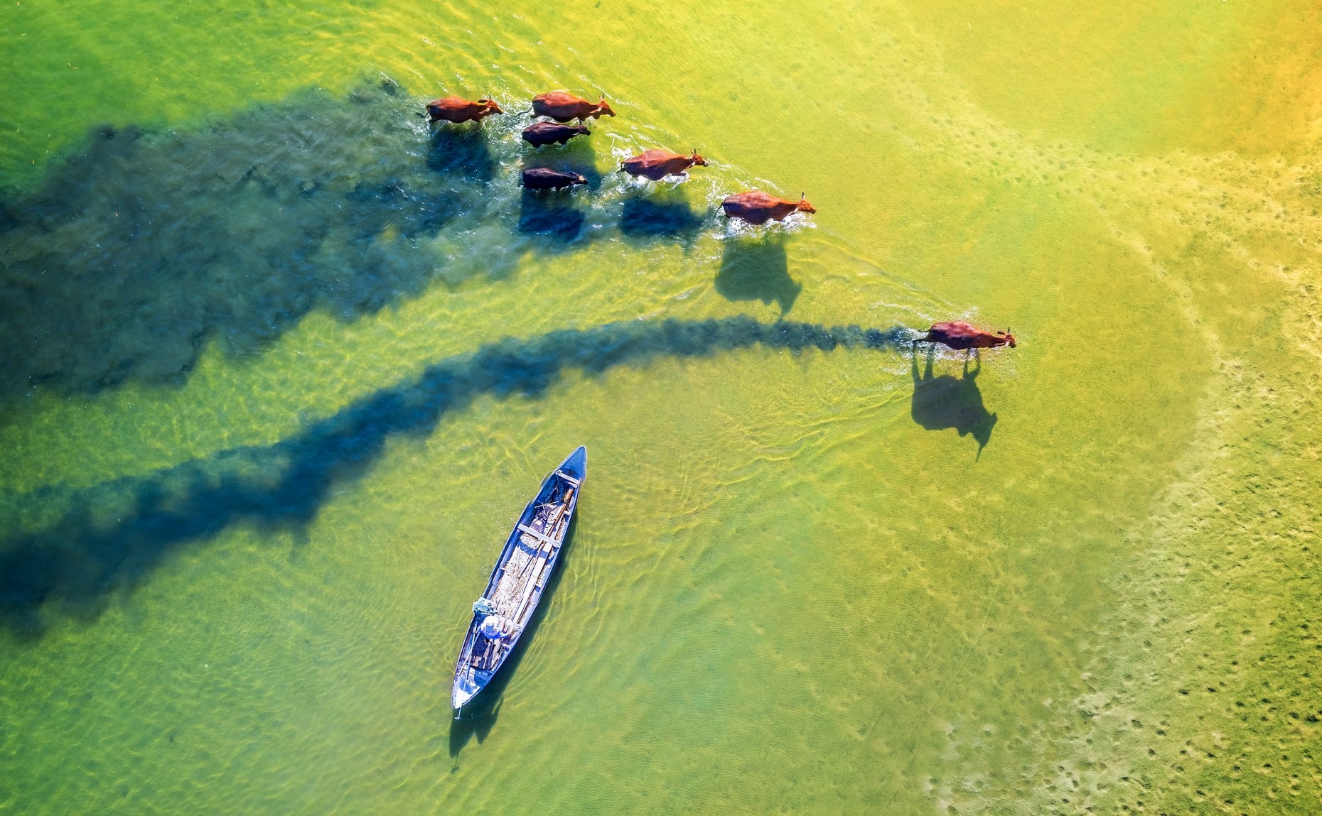 Khung canh lang que mien Trung tho mong, dep say long hinh anh