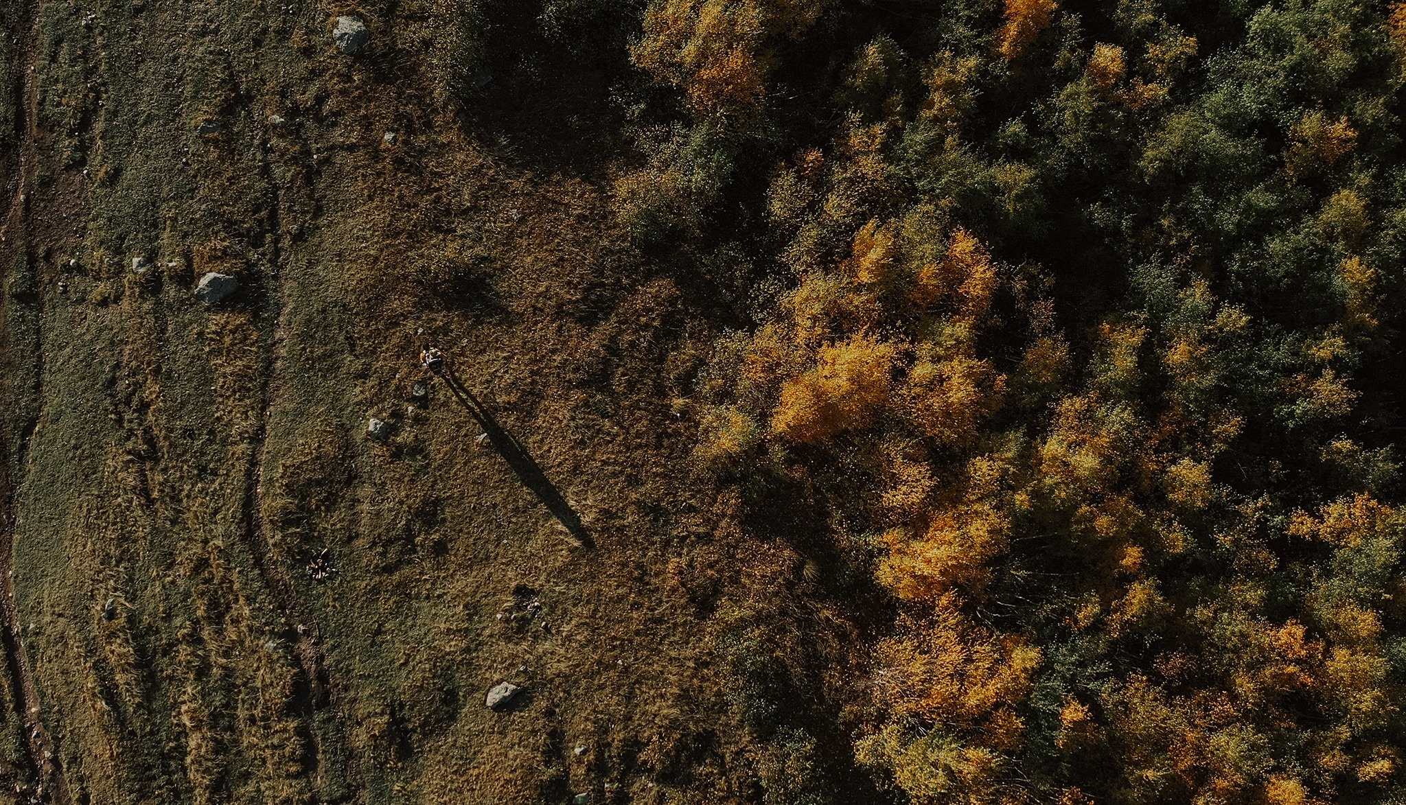 Du lich gia dinh anh 18