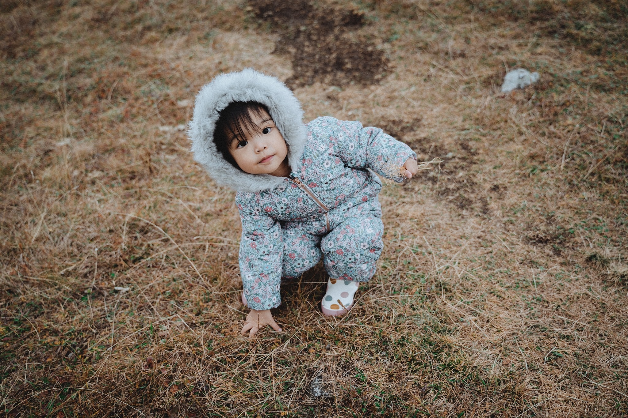 Du lich gia dinh anh 9