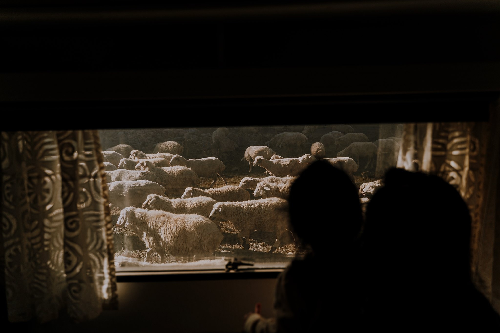 Du lich gia dinh anh 6