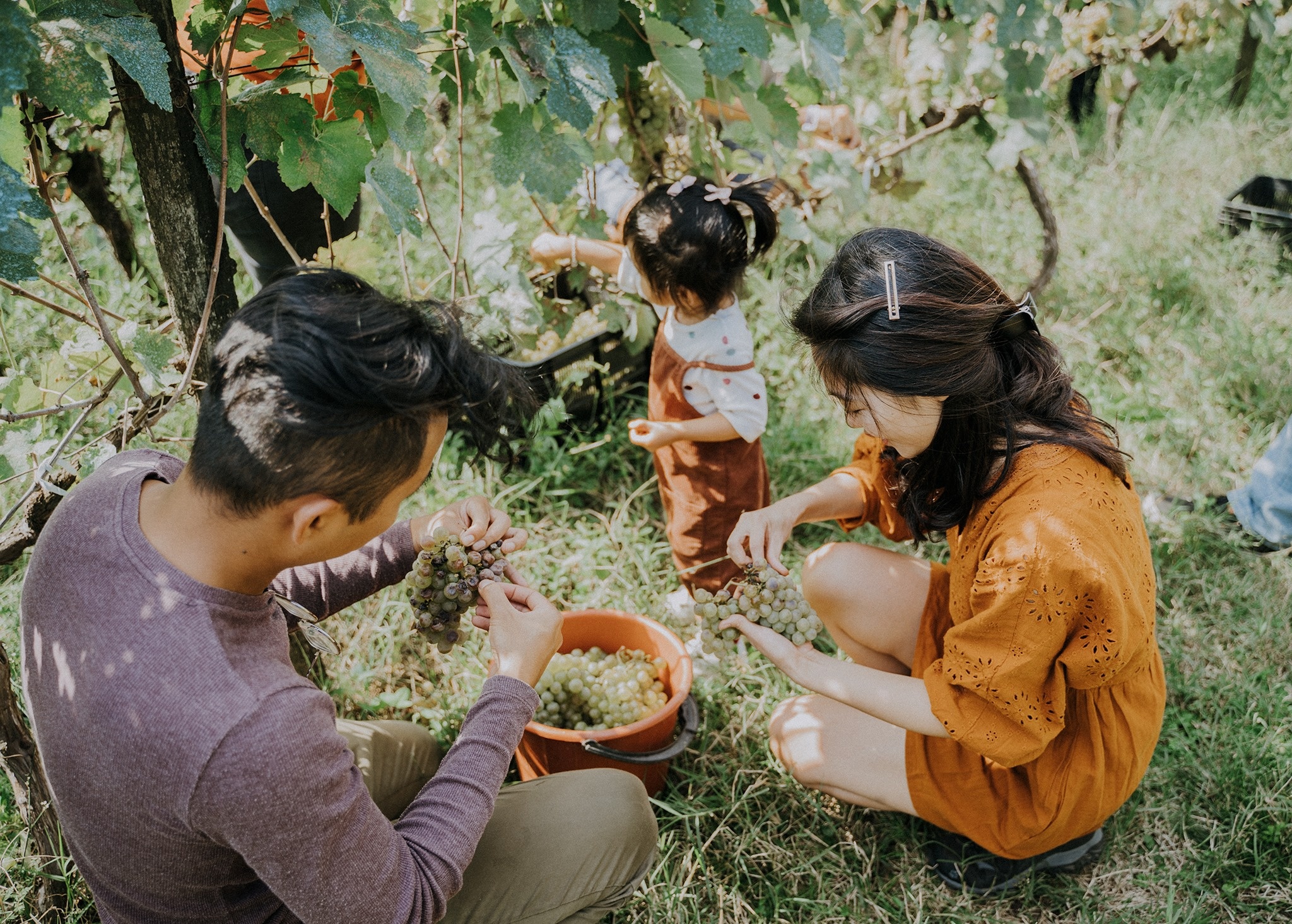 Du lich gia dinh anh 3