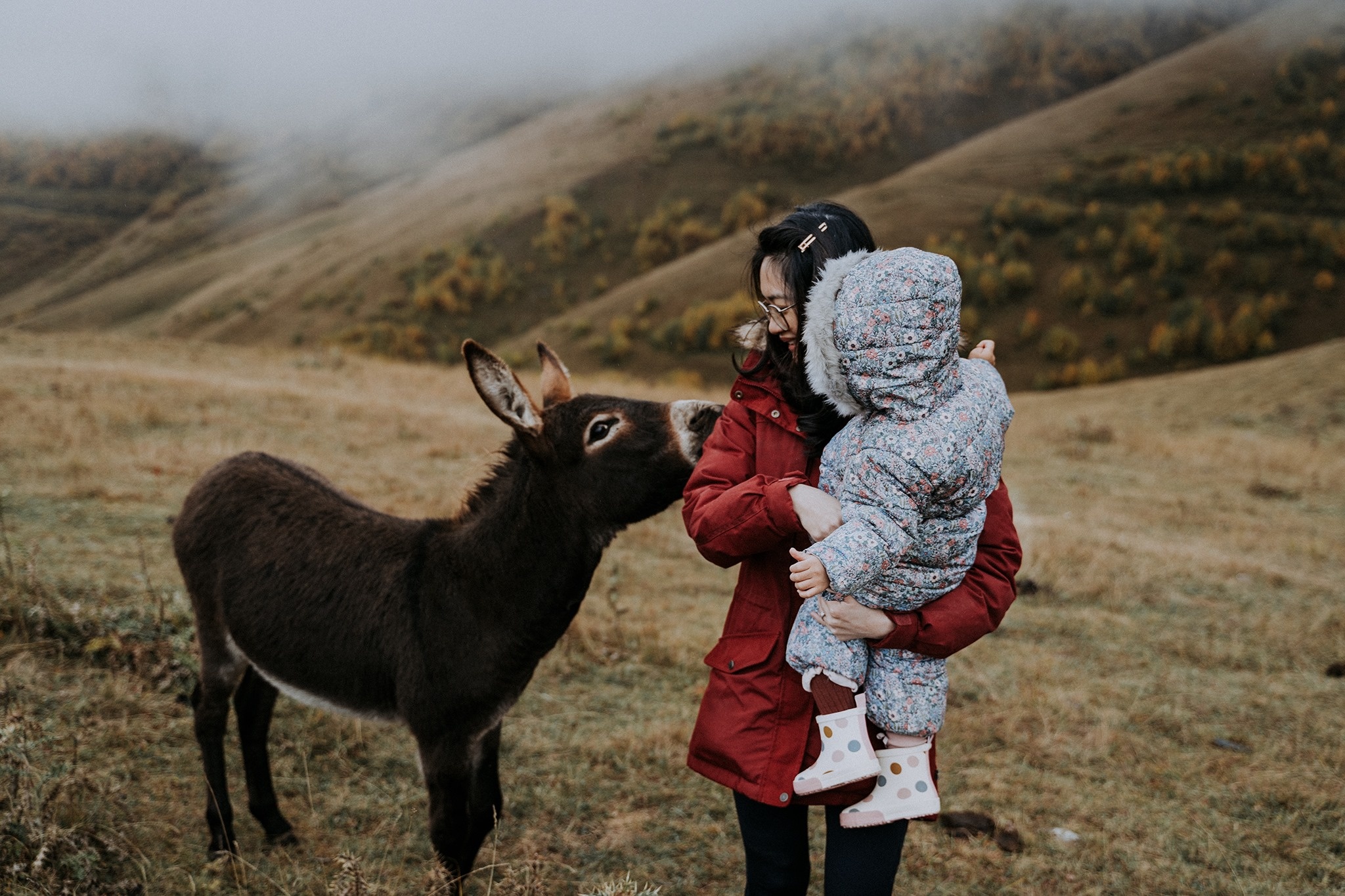 Du lich gia dinh anh 8