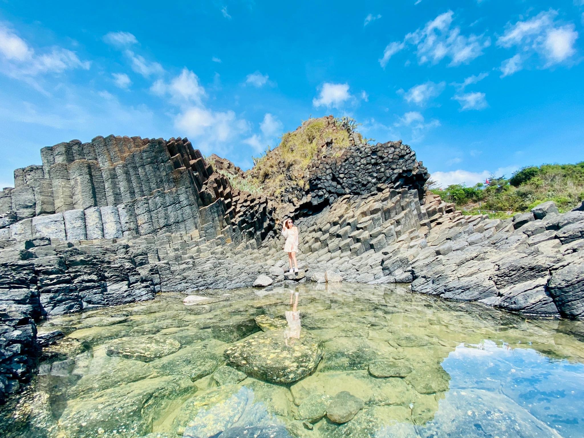 virus covid-19 anh 16