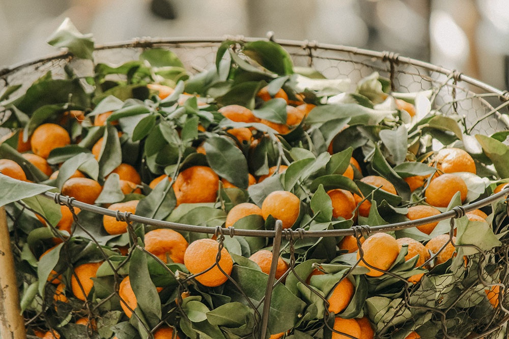 ban dao Binh Quoi-Thanh Da anh 13