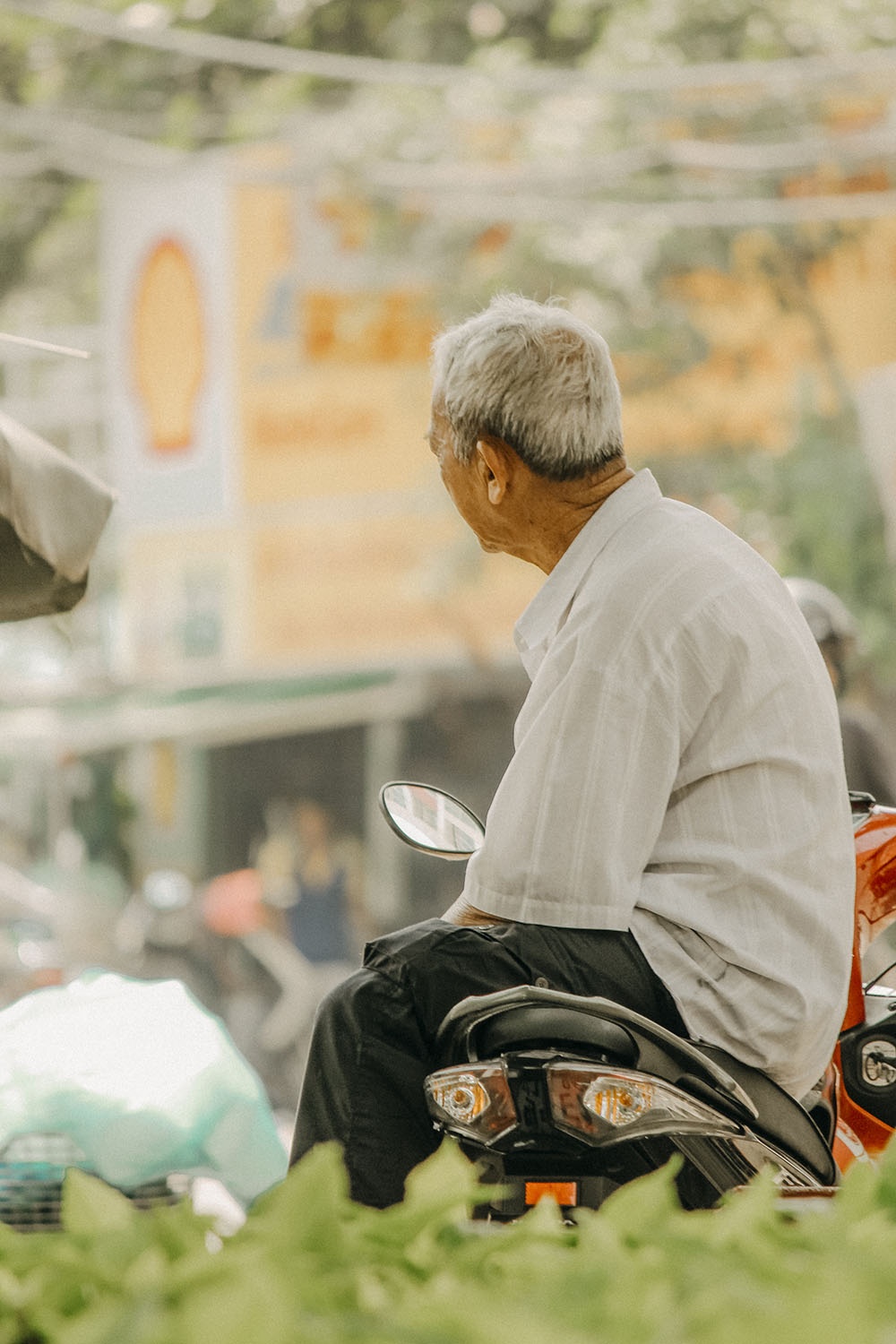 ban dao Binh Quoi-Thanh Da anh 29