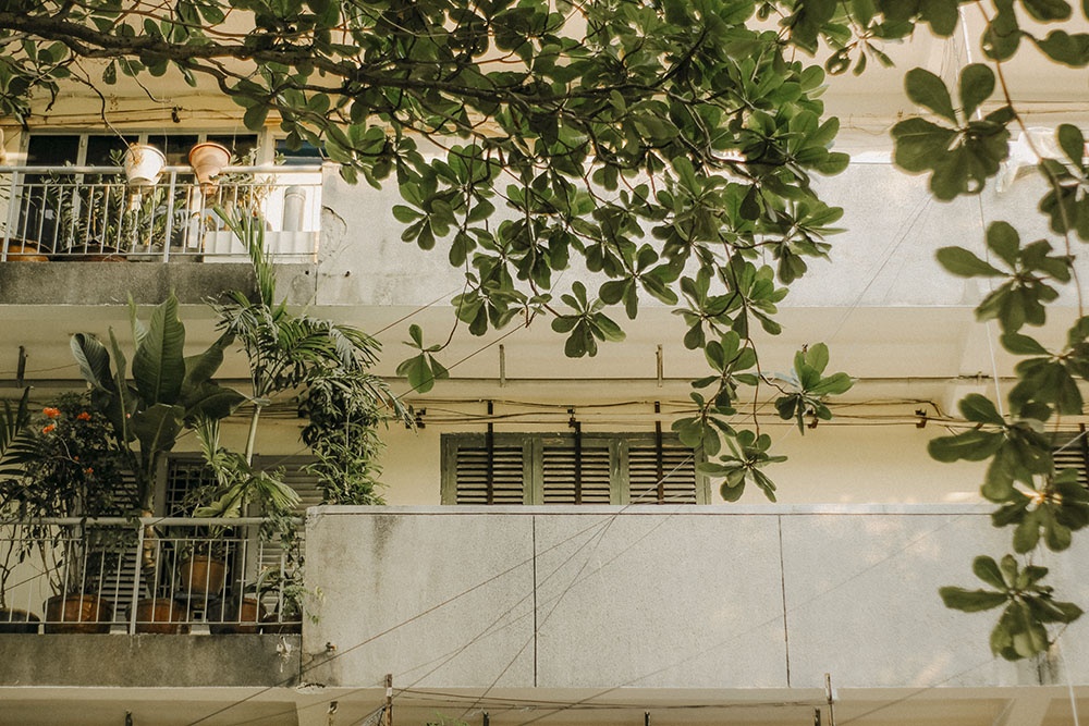 ban dao Binh Quoi-Thanh Da anh 2