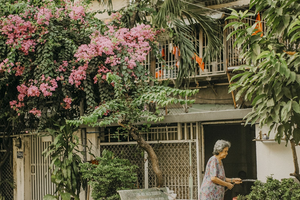 ban dao Binh Quoi-Thanh Da anh 5