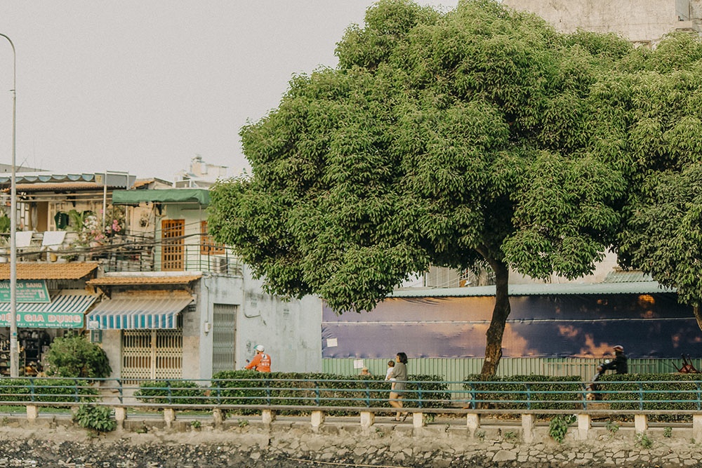 ban dao Binh Quoi-Thanh Da anh 4