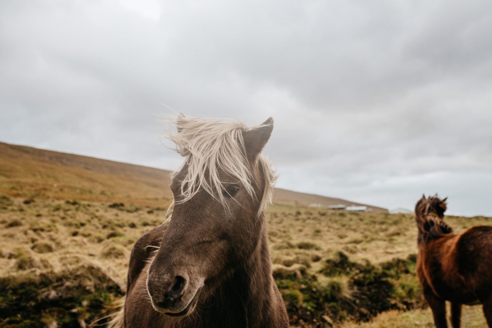 Iceland, du lịch, kinh nghiệm du lịch, hành trình Iceland ảnh 27 Iceland, du lich, kinh nghiem du lich, hanh trinh Iceland anh 27