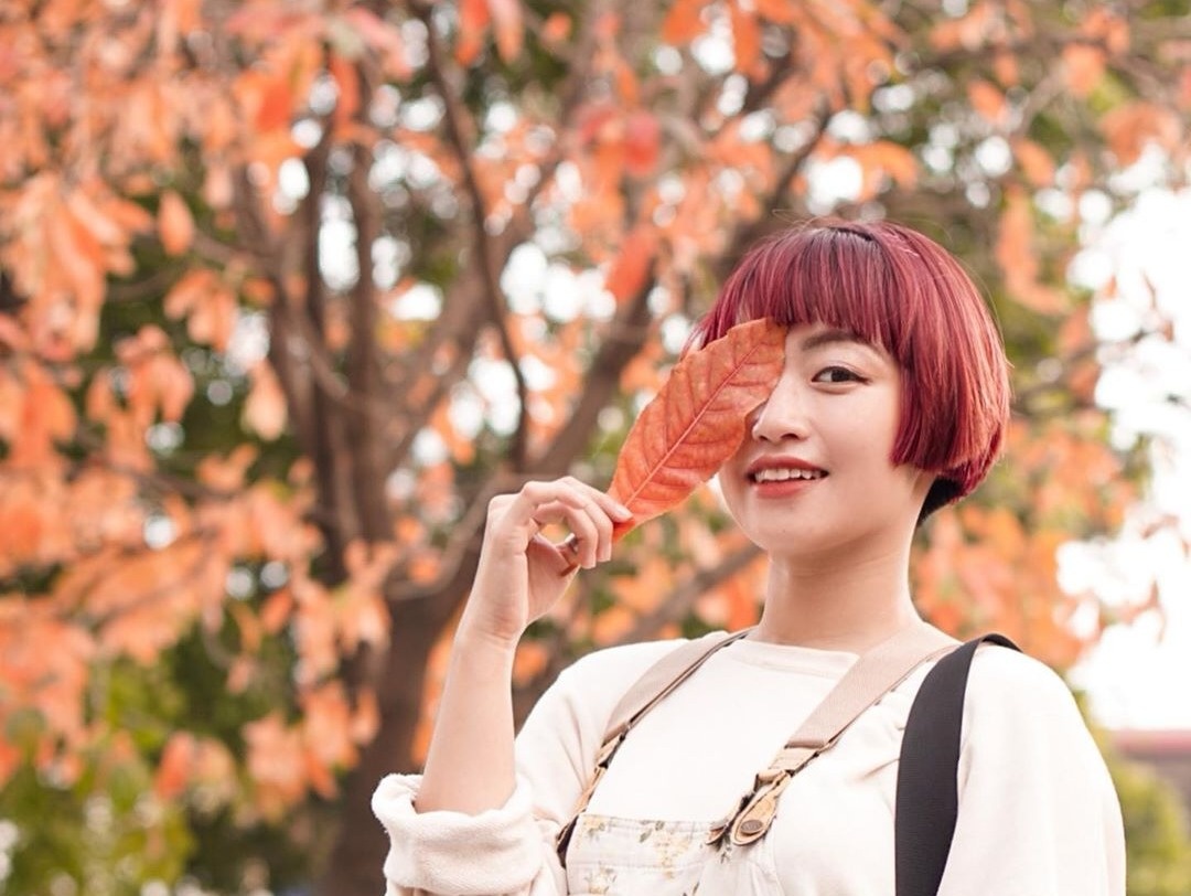 Diem check-in quen thuoc hoa troi Au giua long Ha Noi hinh anh