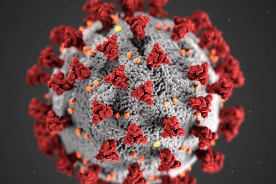 Dau bep Phap che bien mon banh hinh virus corona hinh anh