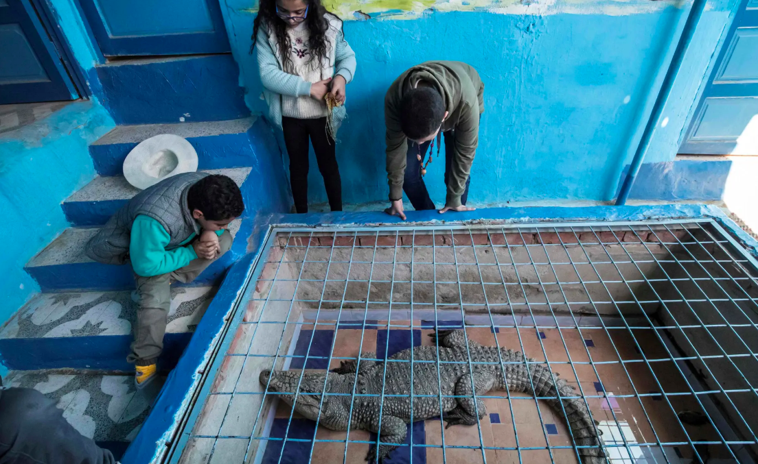 Ca sau song nile anh 6