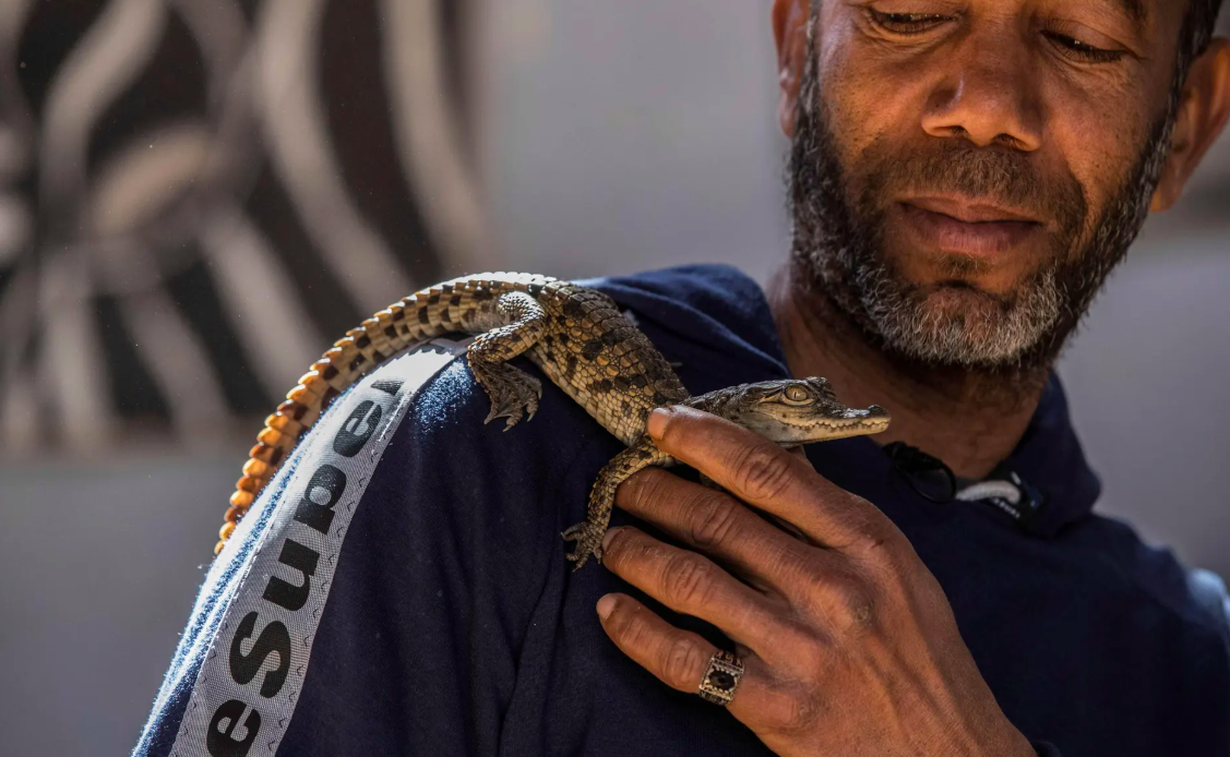 Ca sau song nile anh 4