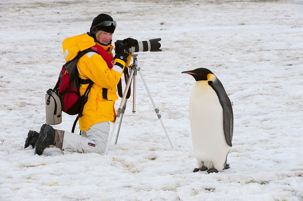 Sa mac lanh toi am 89 do C, dong vat nhieu hon con nguoi hinh anh