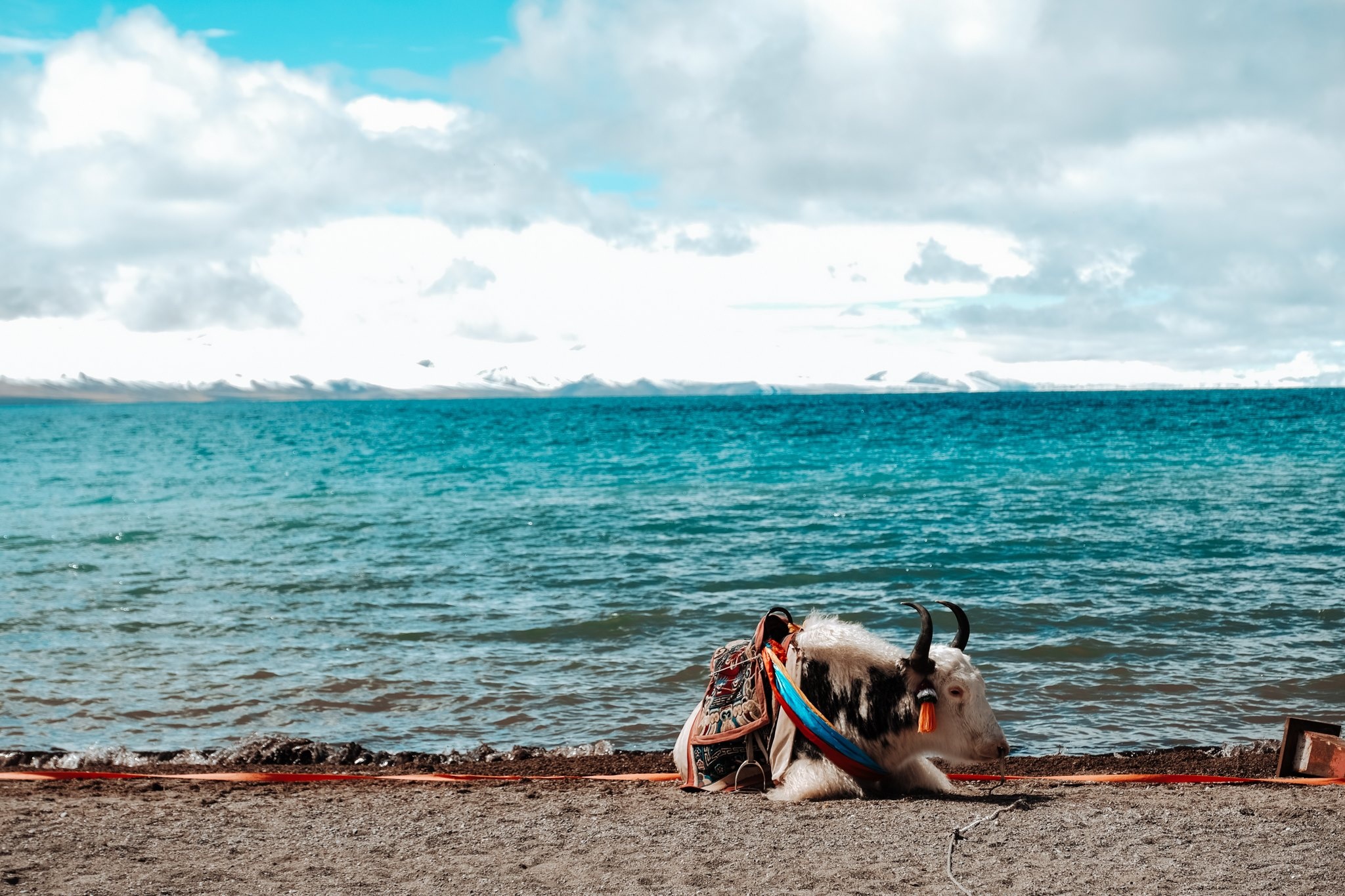 du lich tay tang anh 31