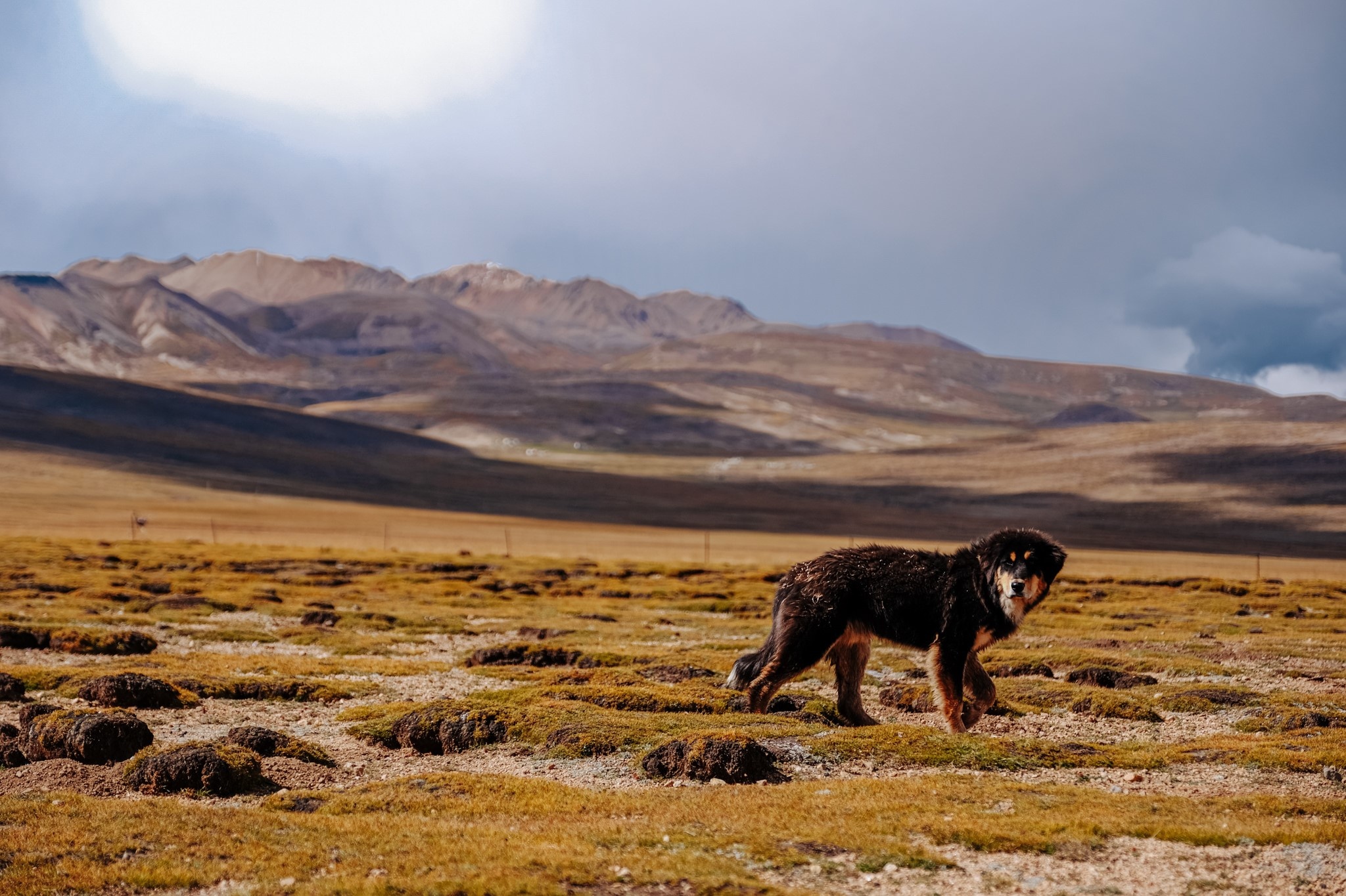 du lich tay tang anh 22