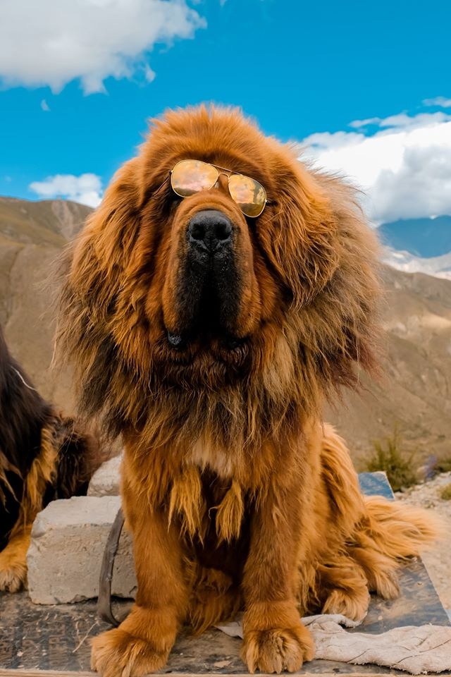 du lich tay tang anh 19