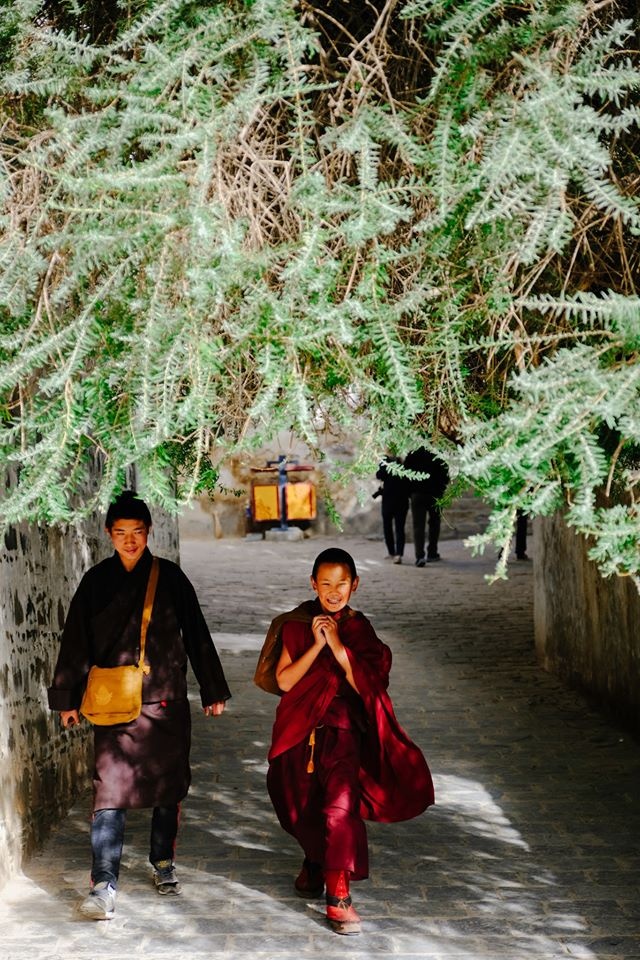 du lich tay tang anh 16