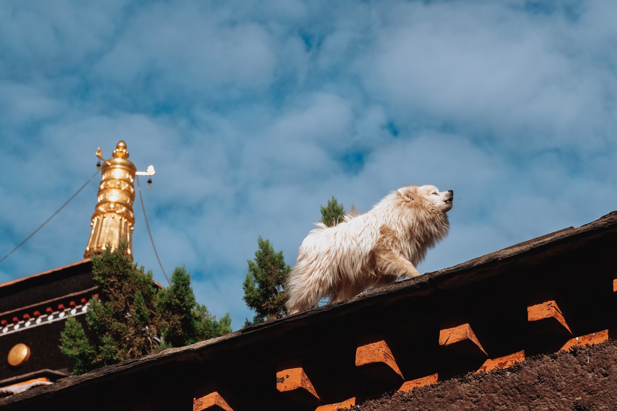 du lich tay tang anh 21