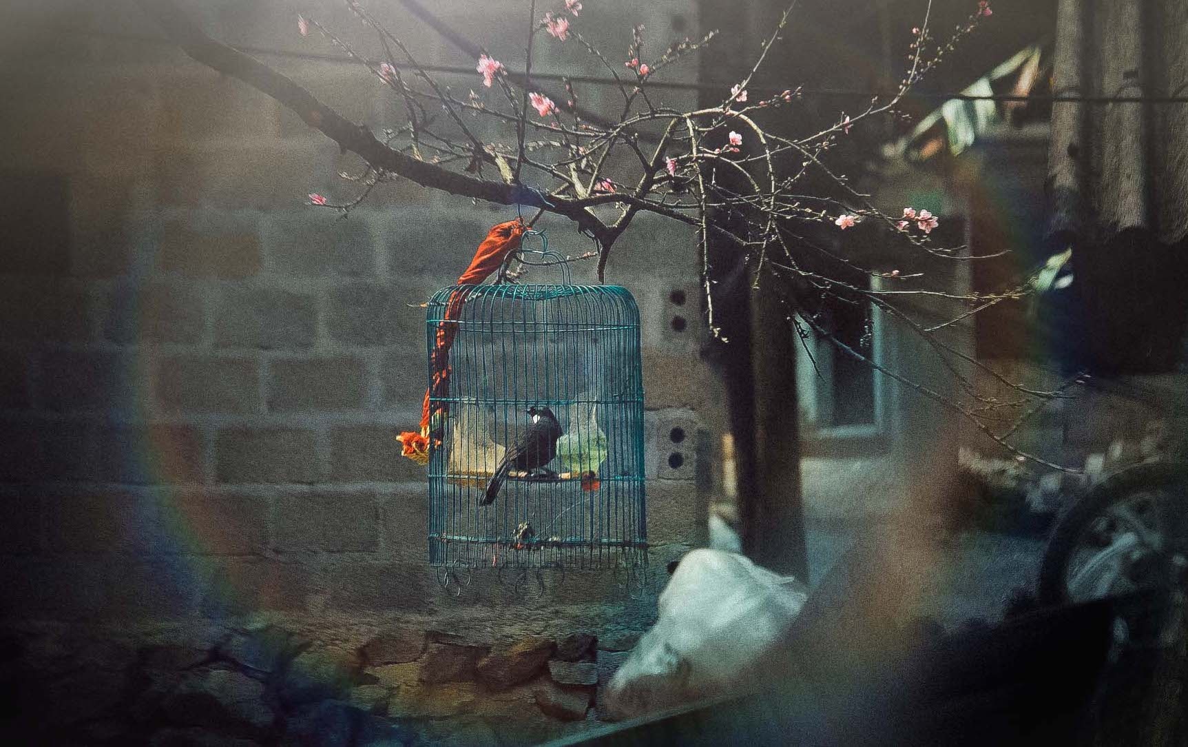 Du lich ha giang anh 8