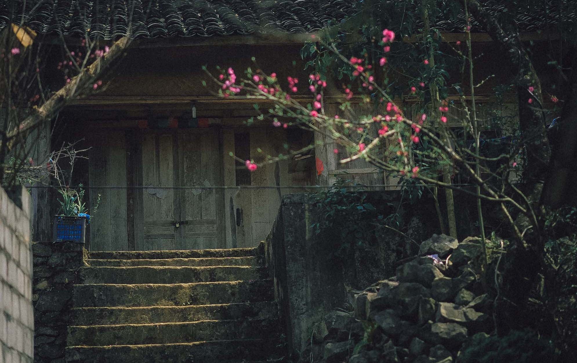 Du lich ha giang anh 1