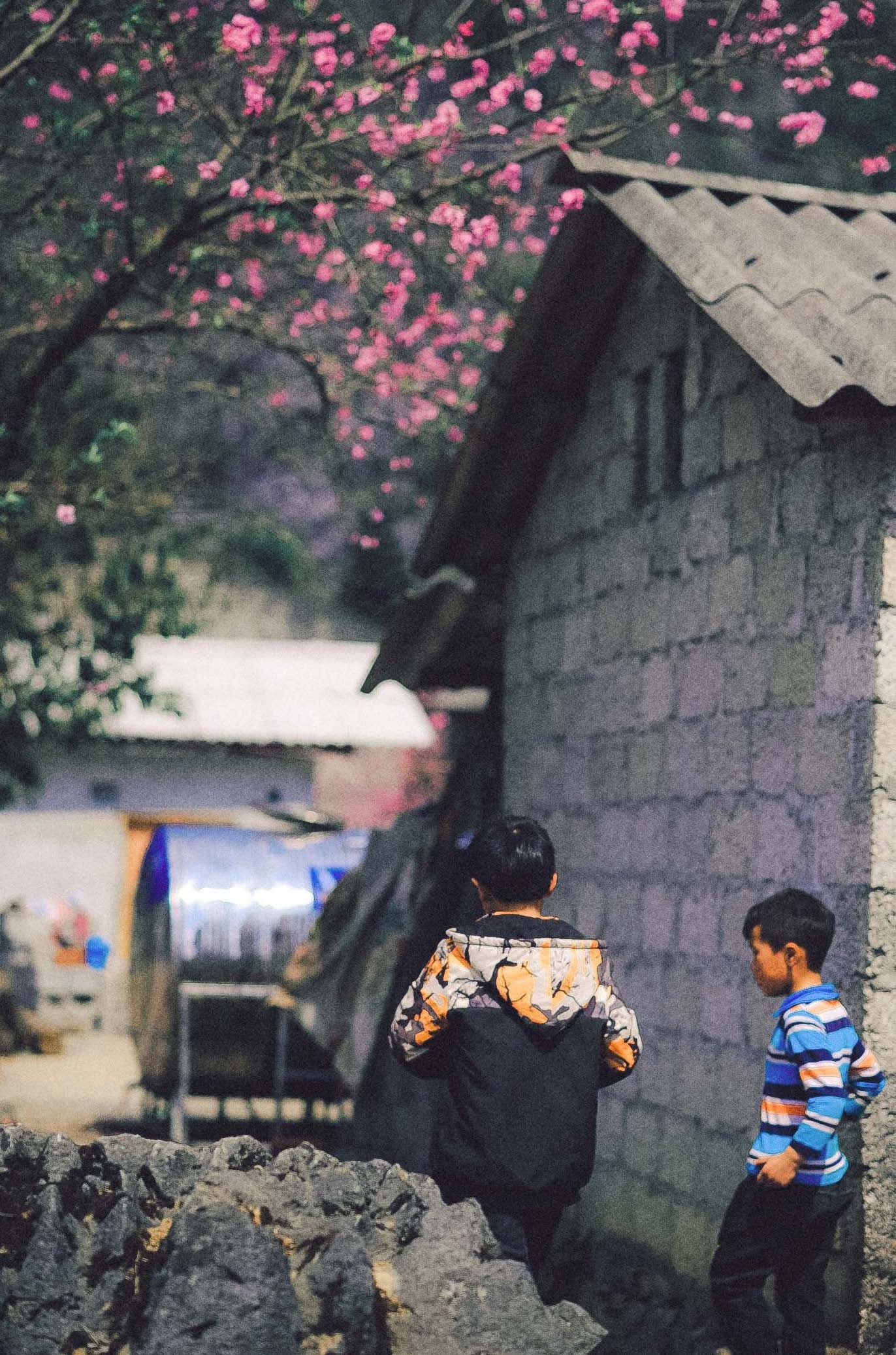 Du lich ha giang anh 3