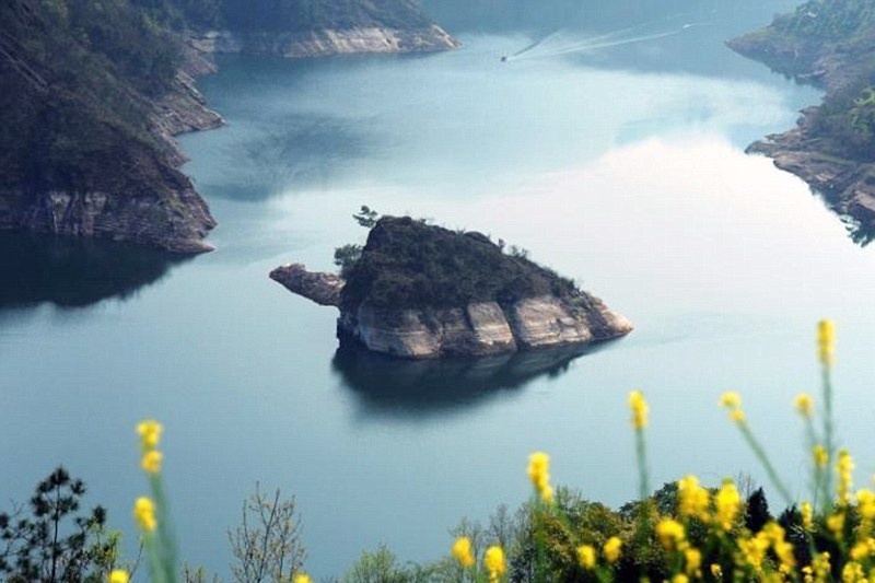 Dao rua o Trung Quoc chi xuat hien 3 thang trong nam hinh anh